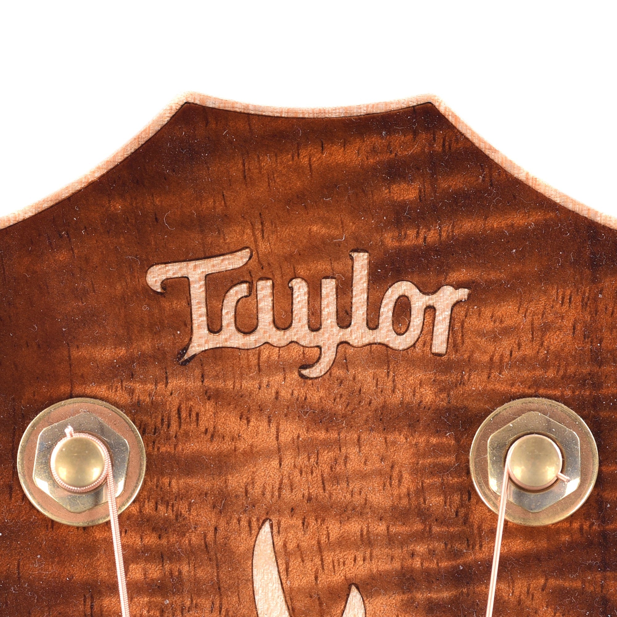 Taylor Custom Grand Auditorium Master Grade Koa Satin Shaded Edgeburst w/Figured Maple Binding & Bouquet Inlay Acoustic Guitars / OM and Auditorium