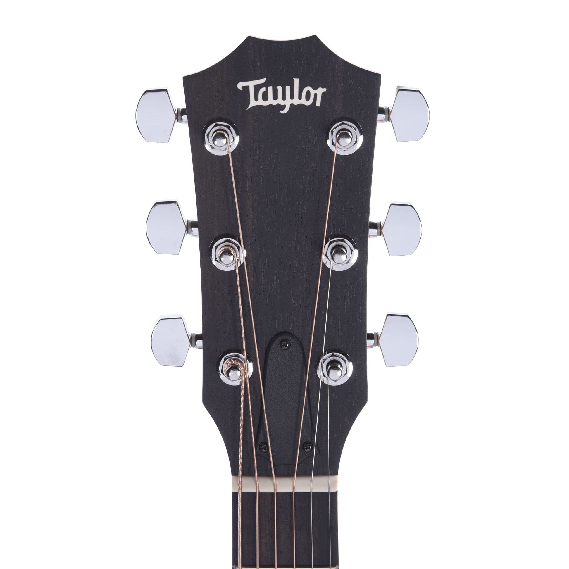 Taylor Special Edition 124ce Grand Auditorium Walnut Shaded Edgeburst Acoustic Guitars / OM and Auditorium