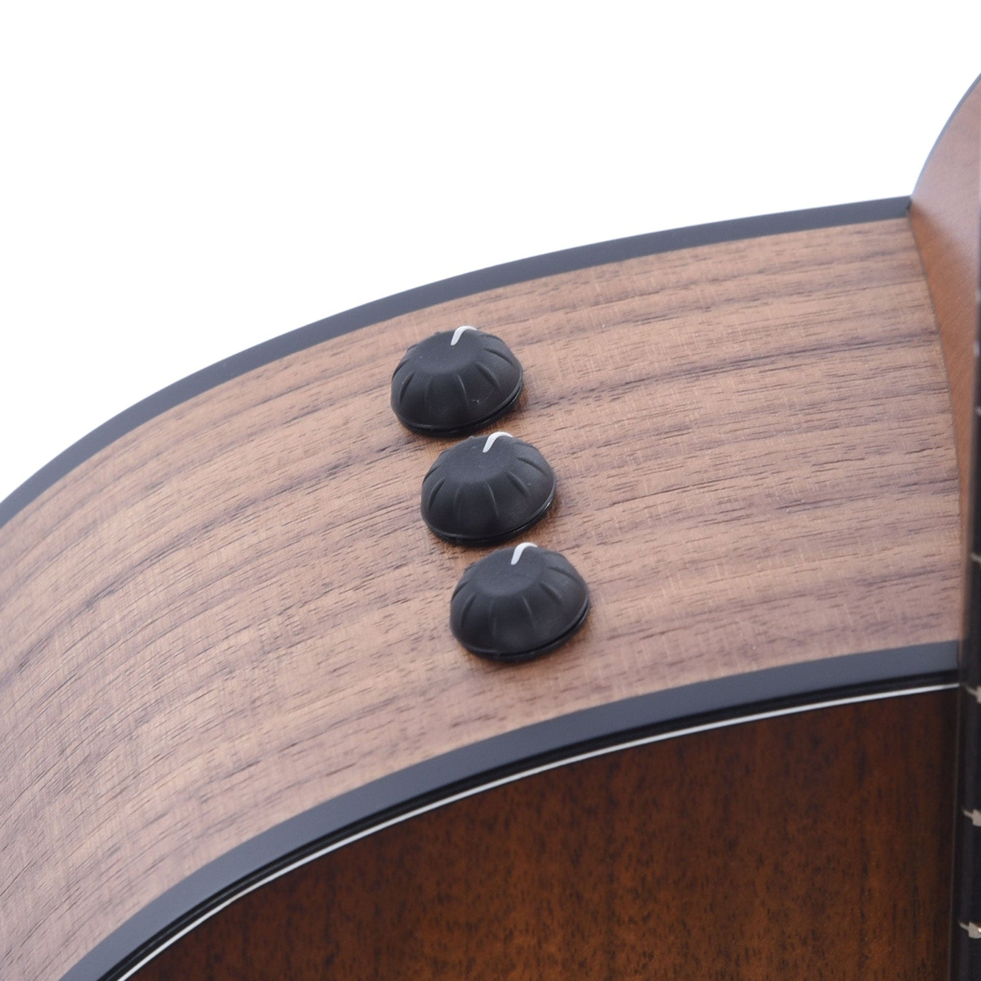 Taylor Special Edition 124ce Grand Auditorium Walnut Shaded Edgeburst Acoustic Guitars / OM and Auditorium