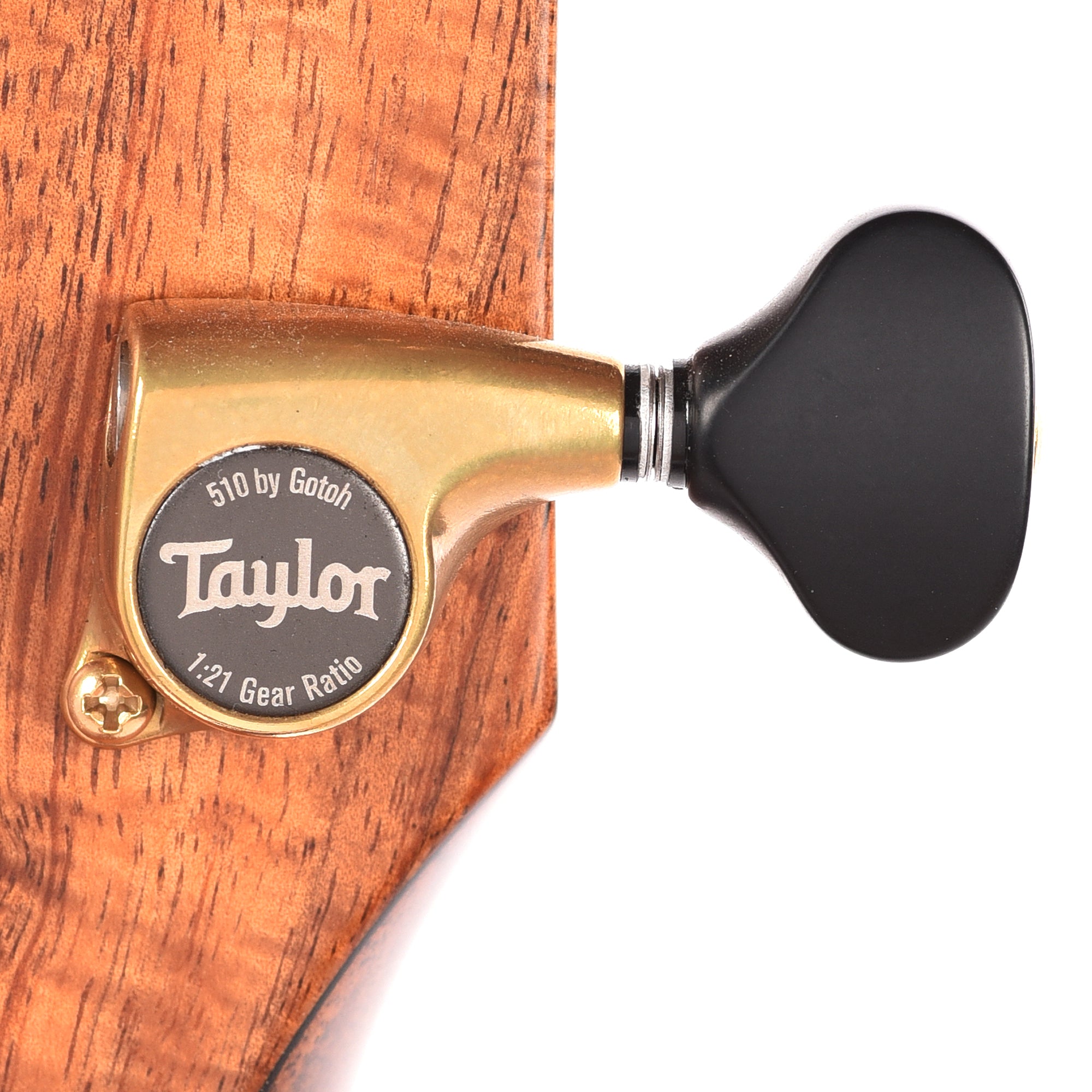 Taylor Custom 