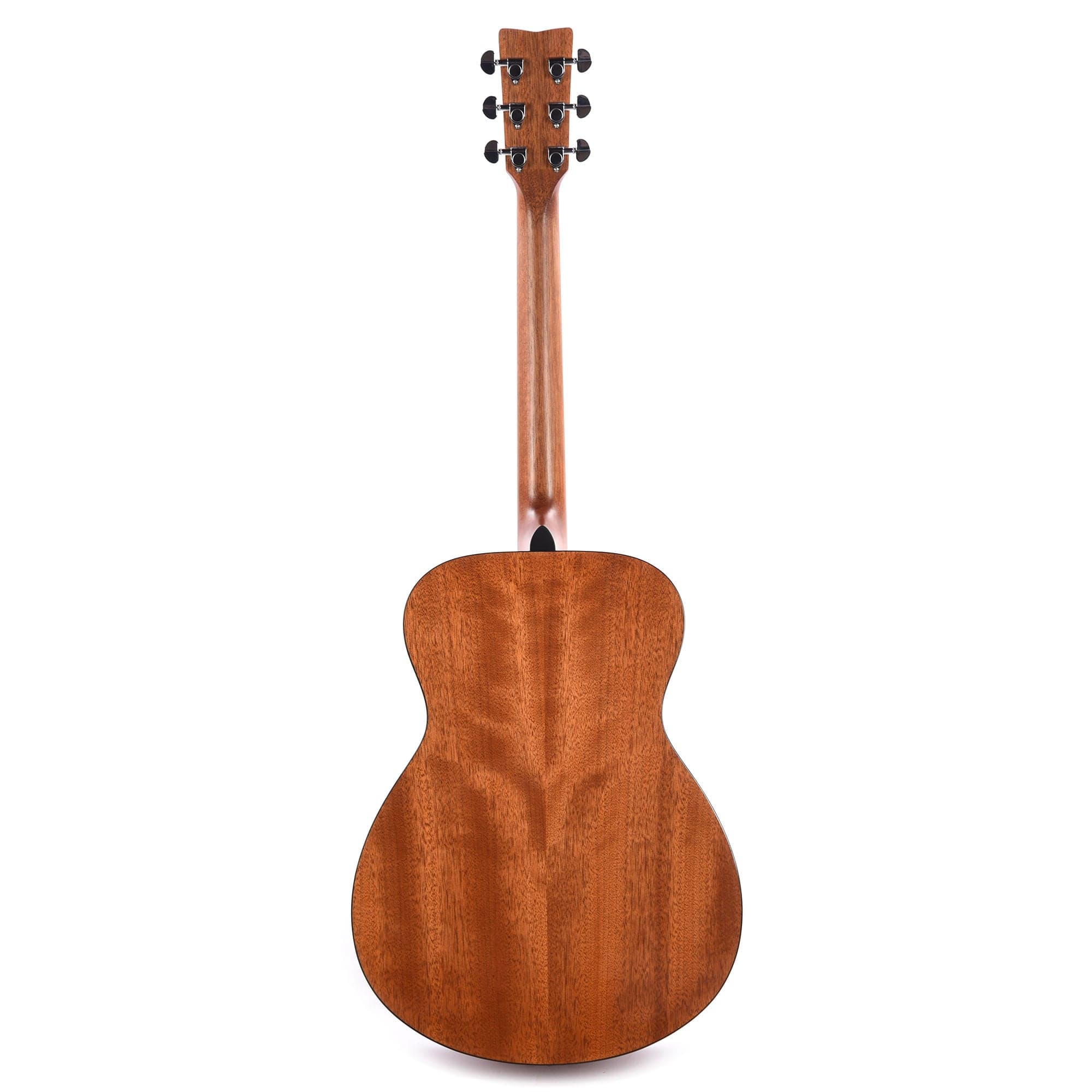 Yamaha FS800 T Concert Acoustic Limited Edition Tinted Natural Top Acoustic Guitars / Concert