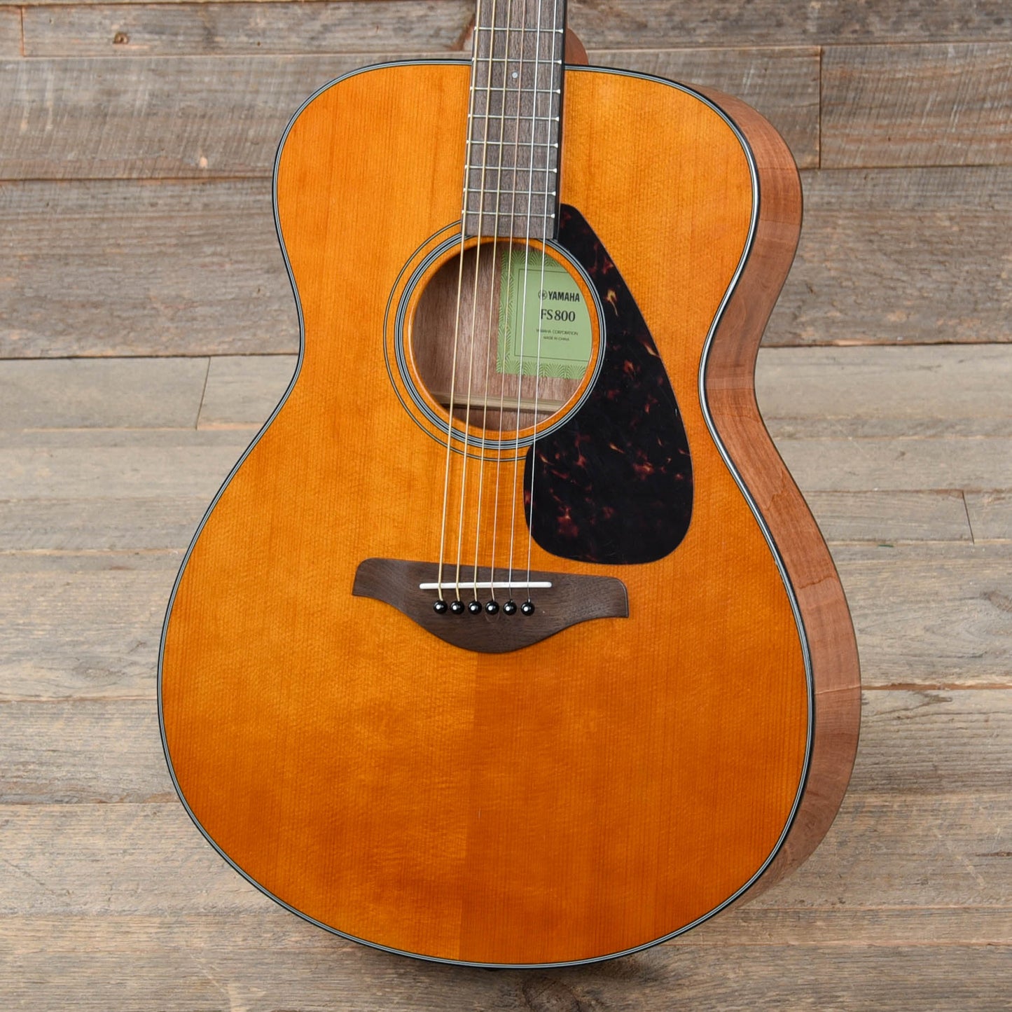 Yamaha FS800 T Concert Acoustic Limited Edition Tinted Natural Top Acoustic Guitars / Concert