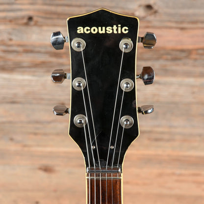 Acoustic Black Widow Black 1972 Electric Guitars / Solid Body