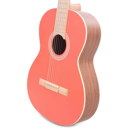 Cordoba Protege C1 Matiz Classical Coral Acoustic Guitars / Classical