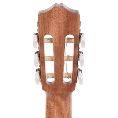 Cordoba Protege C1 Matiz Classical Coral Acoustic Guitars / Classical