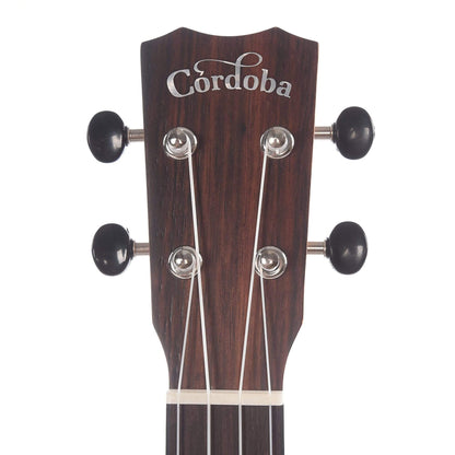 Cordoba 21C Concert Ukulele Exotic Striped Ebony Folk Instruments / Ukuleles