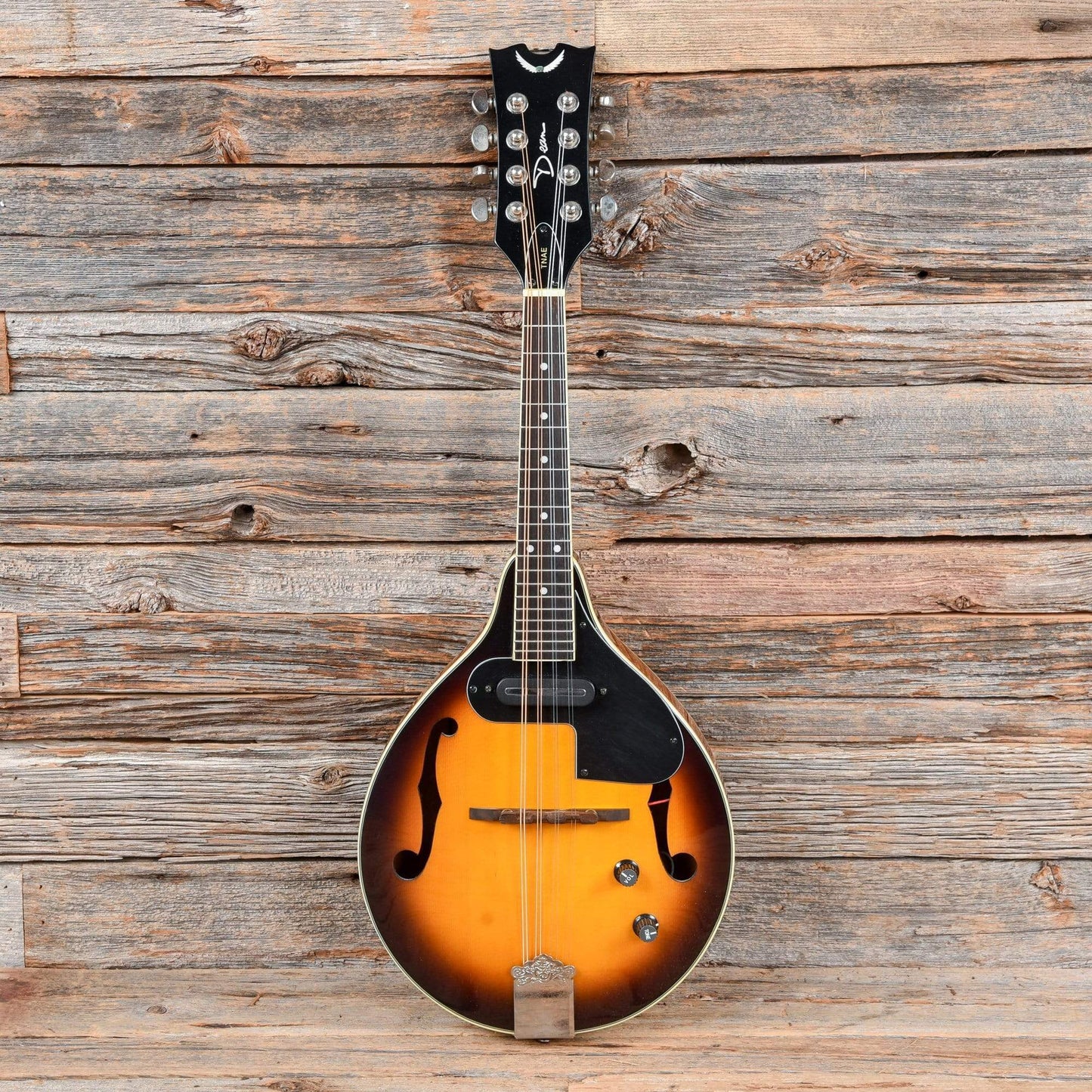 Dean Guitars TNAE Mandolin Sunburst Folk Instruments / Mandolins