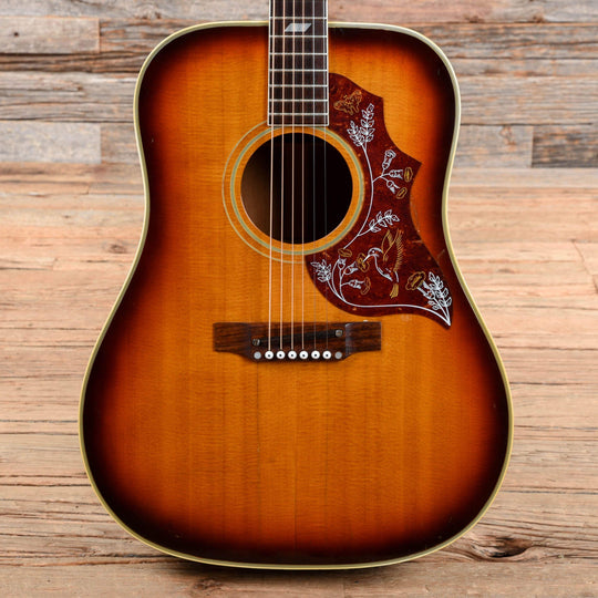 Epiphone FT-110 Frontier Sunburst 1966 Acoustic Guitars / Dreadnought