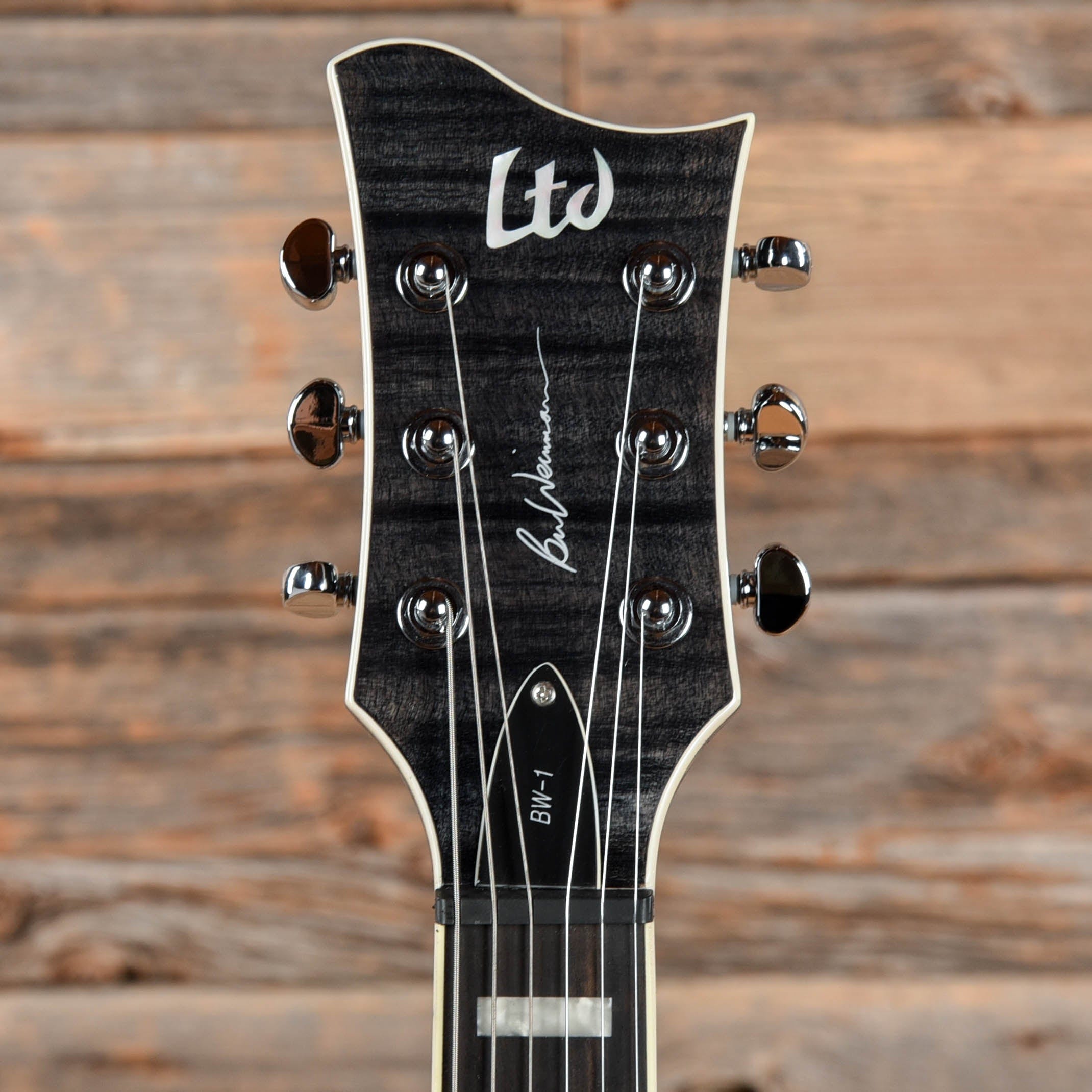 ESP LTD BW1 FM ET Ben Weinman Signature See Thru Black 2014 Electric Guitars / Semi-Hollow