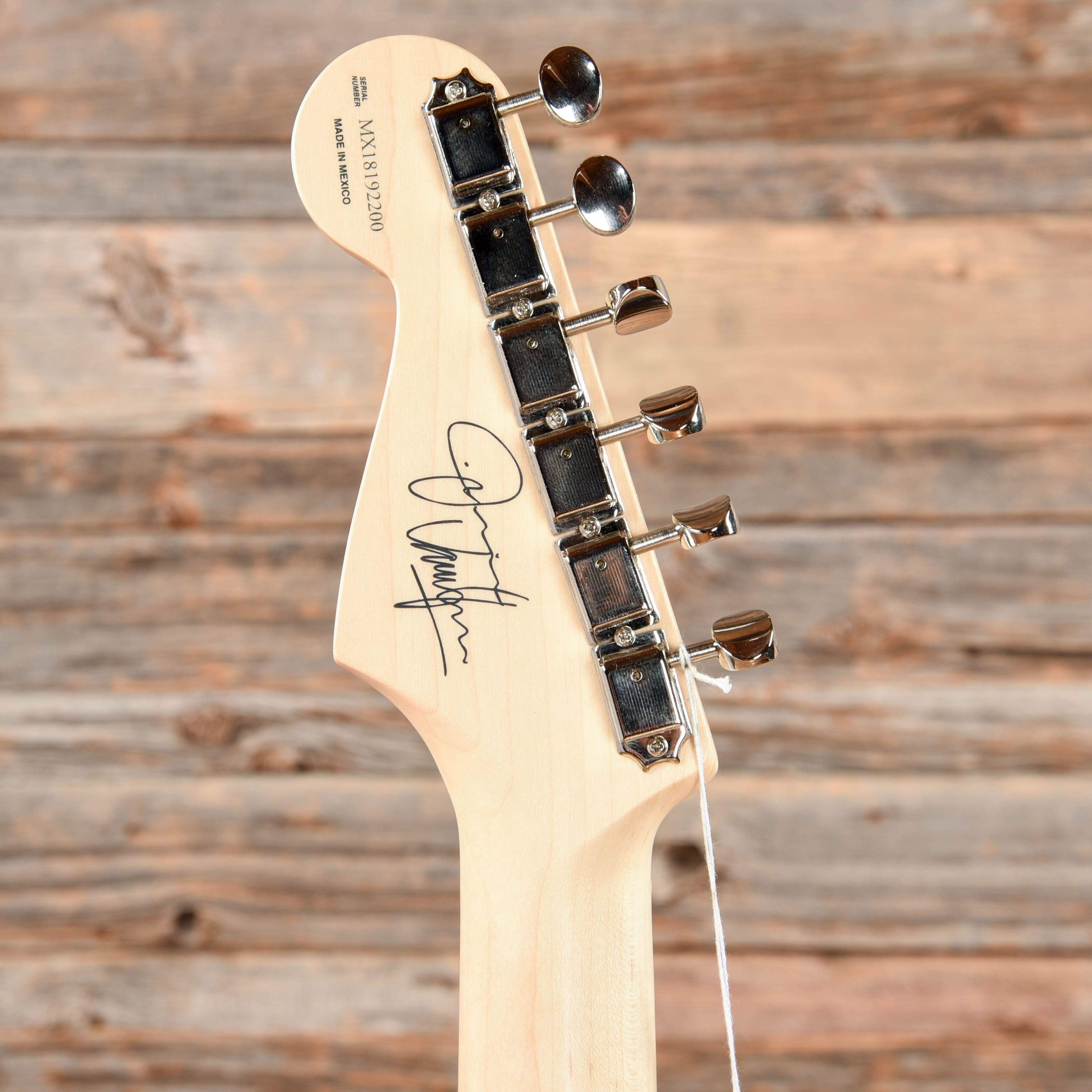 Fender Artist Jimmie Vaughan Tex-Mex Stratocaster Olympic White 2019 –  Chicago Music Exchange