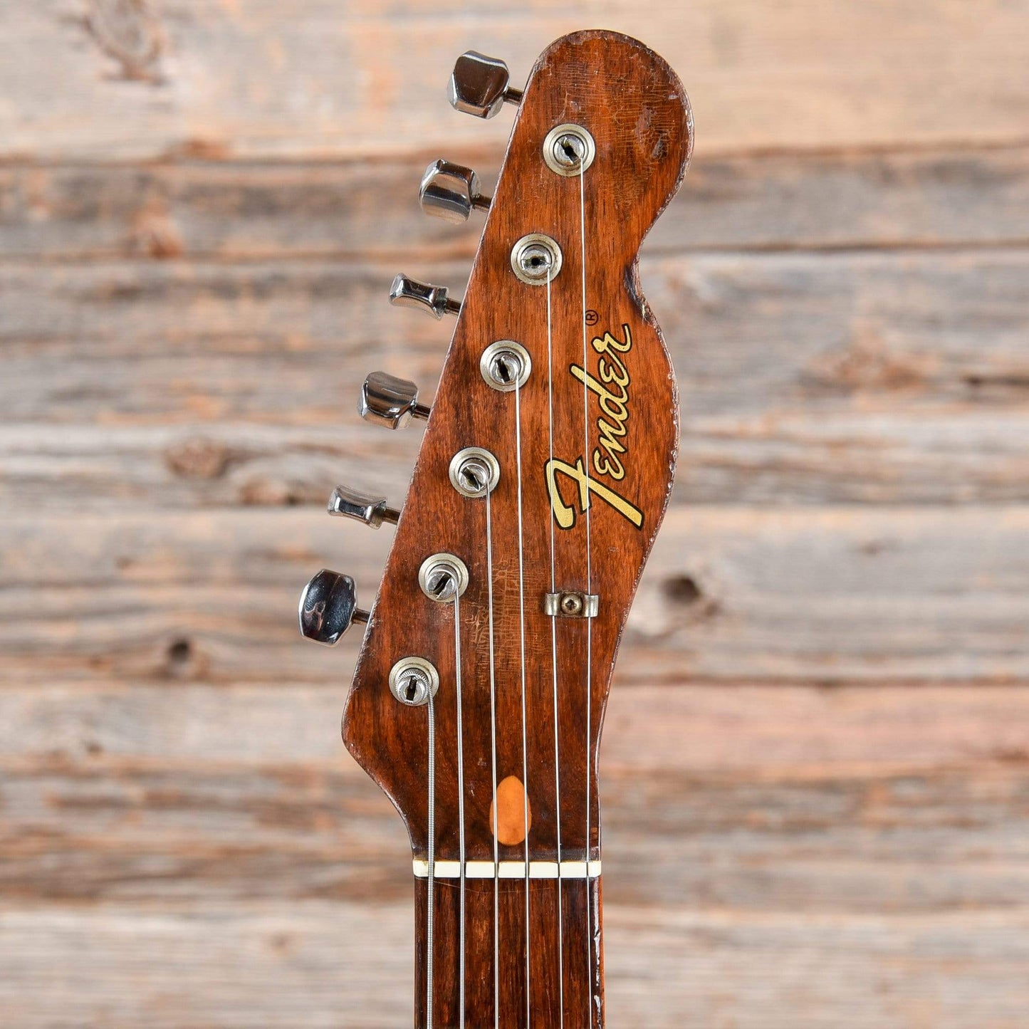 Fender Rosewood Telecaster Natural 1969 Electric Guitars / Solid Body