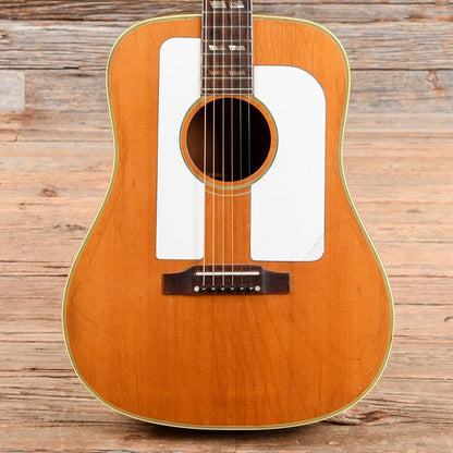 Gibson FJN Folksinger Natural 1964 Acoustic Guitars / Dreadnought