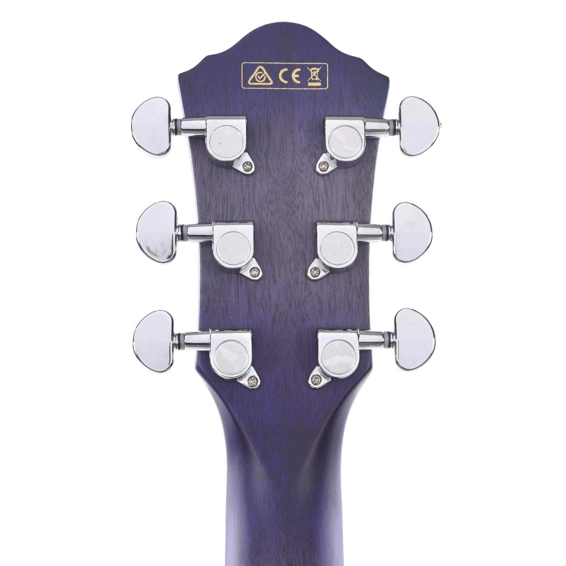 Ibanez AEG19II AE Acoustic Guitar Purple Iris Burst Gloss Acoustic Guitars / Built-in Electronics