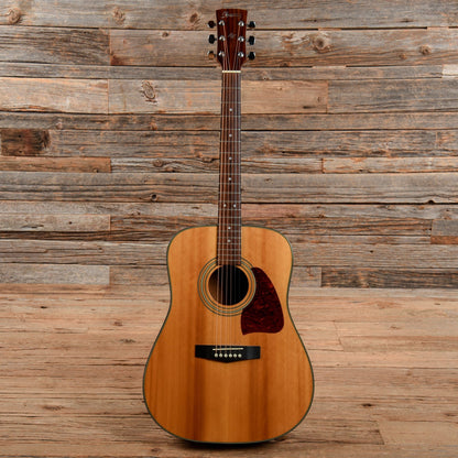 Ibanez AW100 Natural Acoustic Guitars / Dreadnought