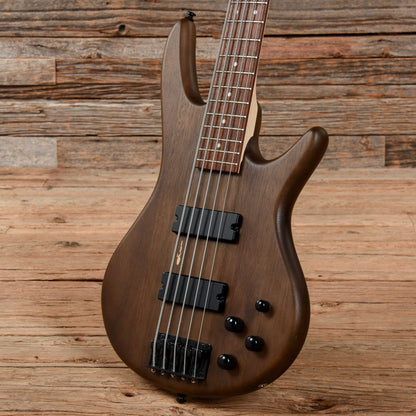 Ibanez GSR205B Gio 5-String Bass Walnut Flat Bass Guitars / 5-String or More