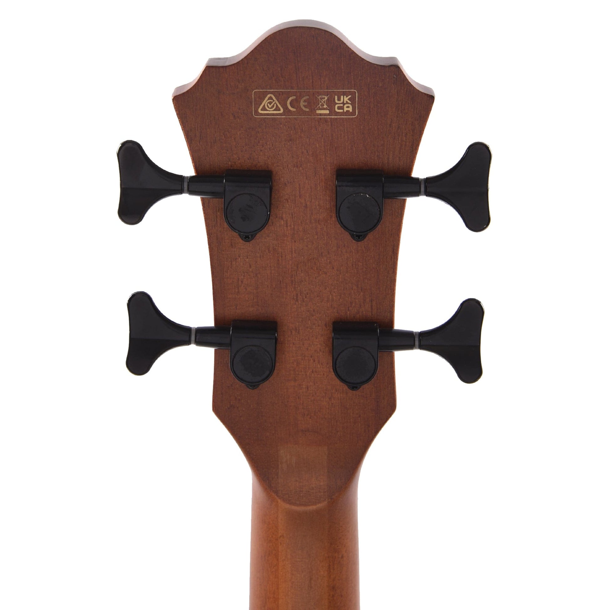 Ibanez AEGB24E AEG Acoustic-Electic Bass Sapele Black Bass Guitars / Acoustic Bass Guitars