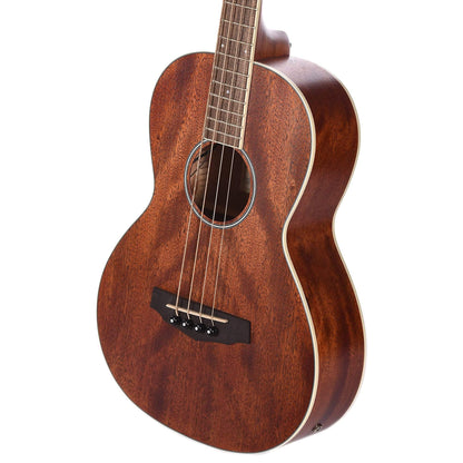 Ibanez PNB14E Parlor Acoustic Bass Open Pore Natural Bass Guitars / Acoustic Bass Guitars