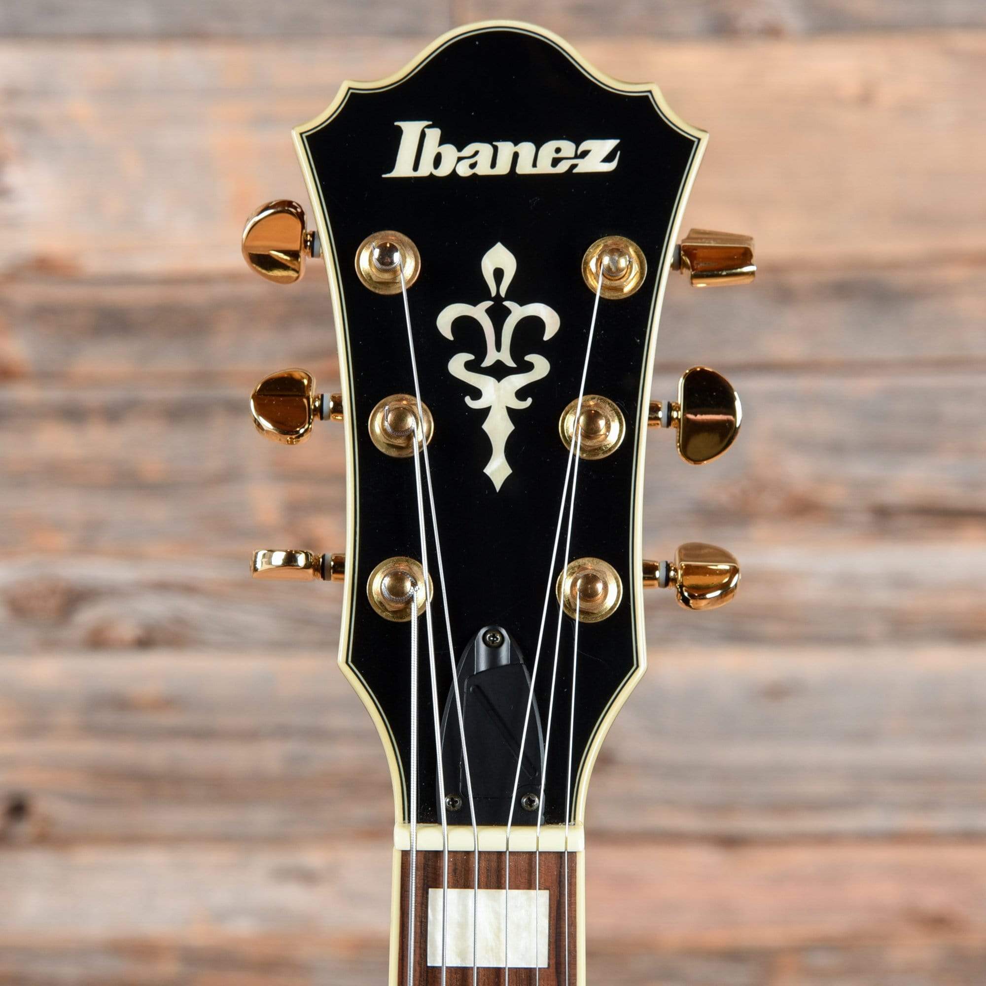 Ibanez AG95-DBS Artcore Expressionist Series Bubinga Hollowbody Dark B –  Chicago Music Exchange