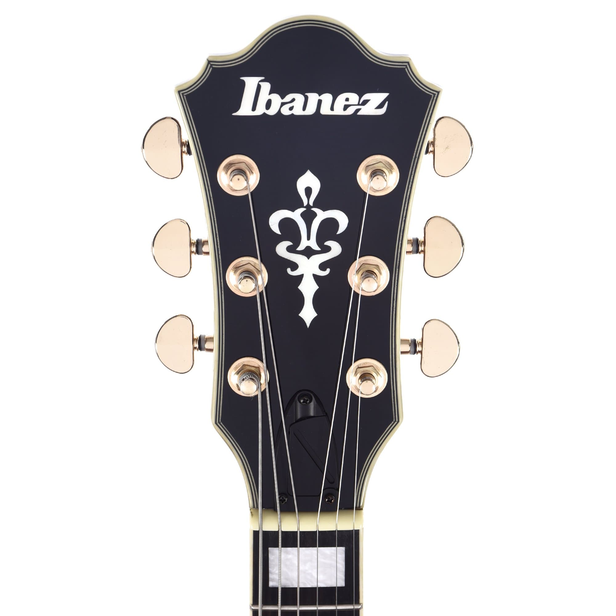 Ibanez AM93ME Artcore Expressionist Macassar Ebony Semi-Hollow Body –  Chicago Music Exchange