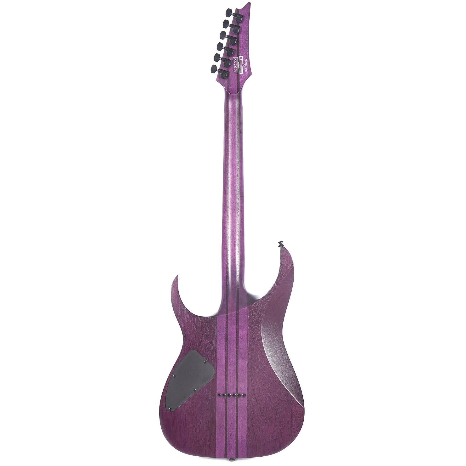 Ibanez RGRT621DPB RG Standard Transparent Purple Burst Flat Electric Guitars / Solid Body