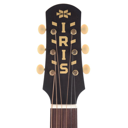 Iris OG Mahogany Satin Acoustic Guitars / Concert