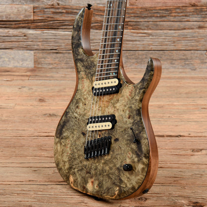 Kiesel K-Series Multiscale 7-String Buckeye Burl Electric Guitars / Solid Body