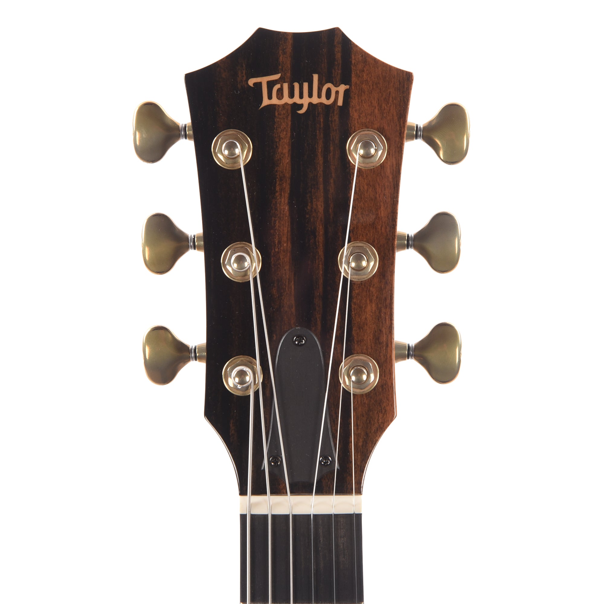 Taylor Custom 