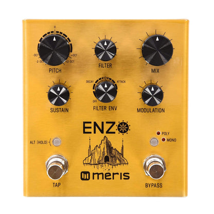 Meris Enzo Multi-Voice Synthesizer Pedal Effects and Pedals / Octave and Pitch