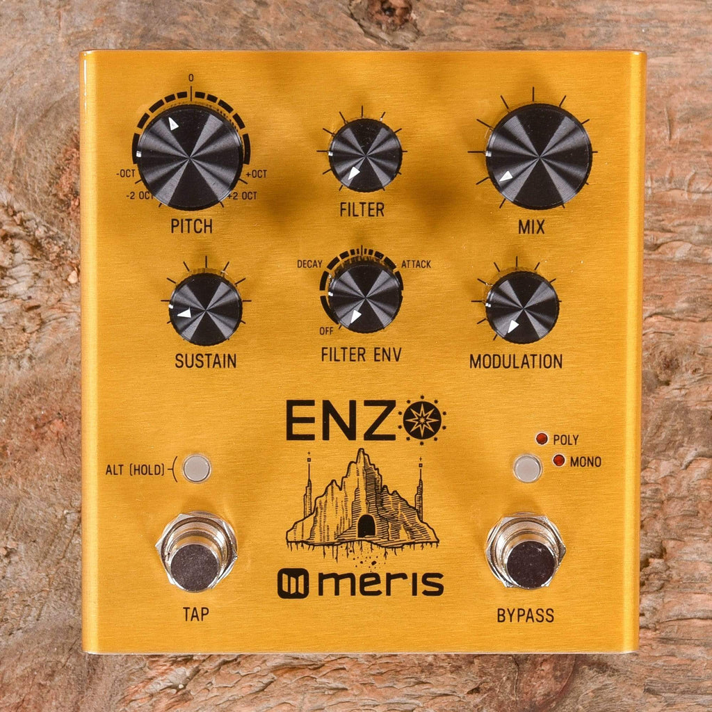 Meris Enzo Multi-Voice Synthesizer Pedal – Chicago Music Exchange