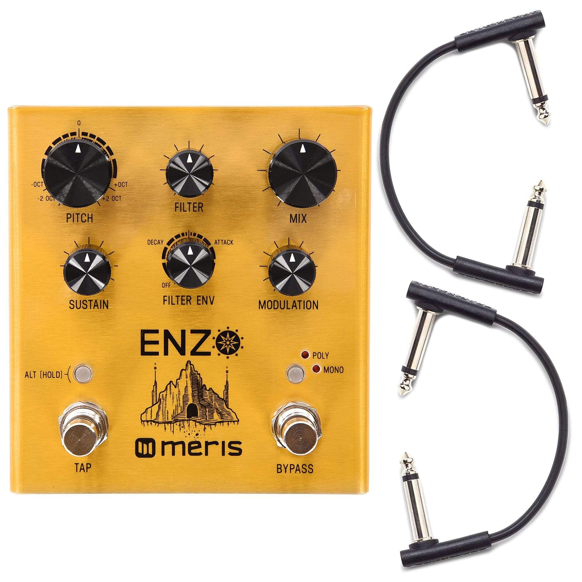 Meris Enzo Multi-Voice Synthesizer Pedal w/RockBoard Flat Patch Cables –  Chicago Music Exchange