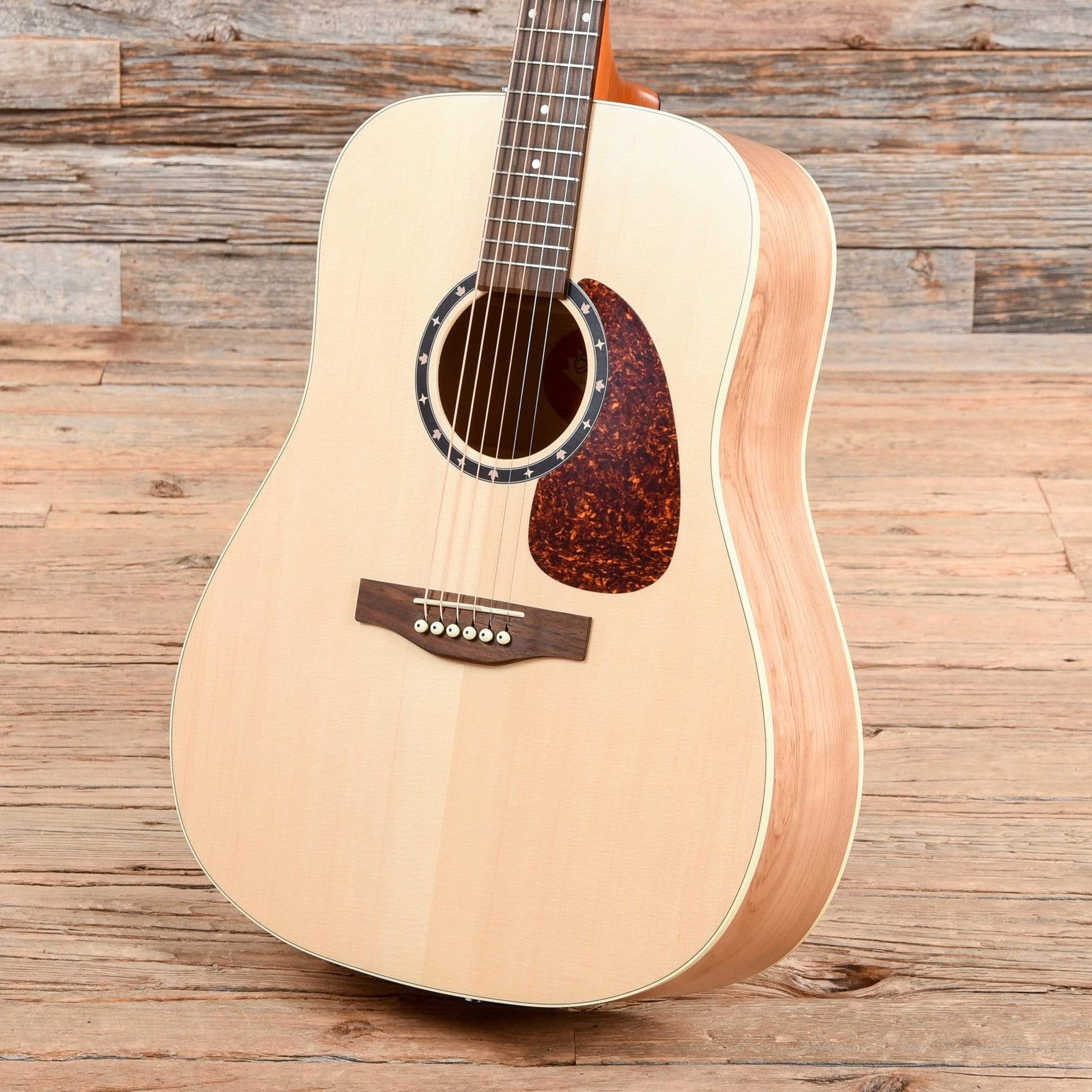 Norman Encore B20 Natural Acoustic Guitars / Dreadnought