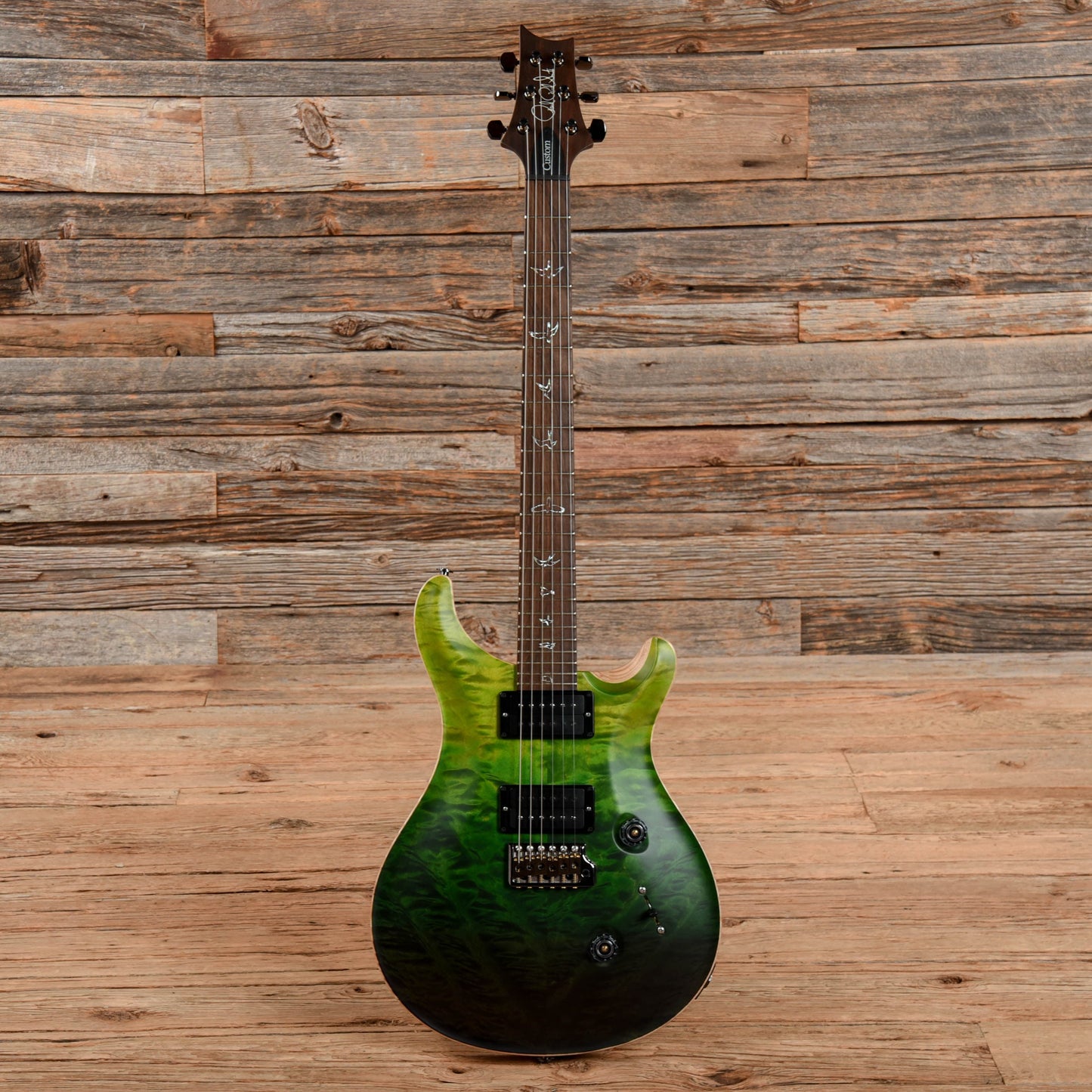 PRS Wood Library Custom 24 w/Brazilian Rosewood Fretboard Green Fade 2021 Electric Guitars / Solid Body