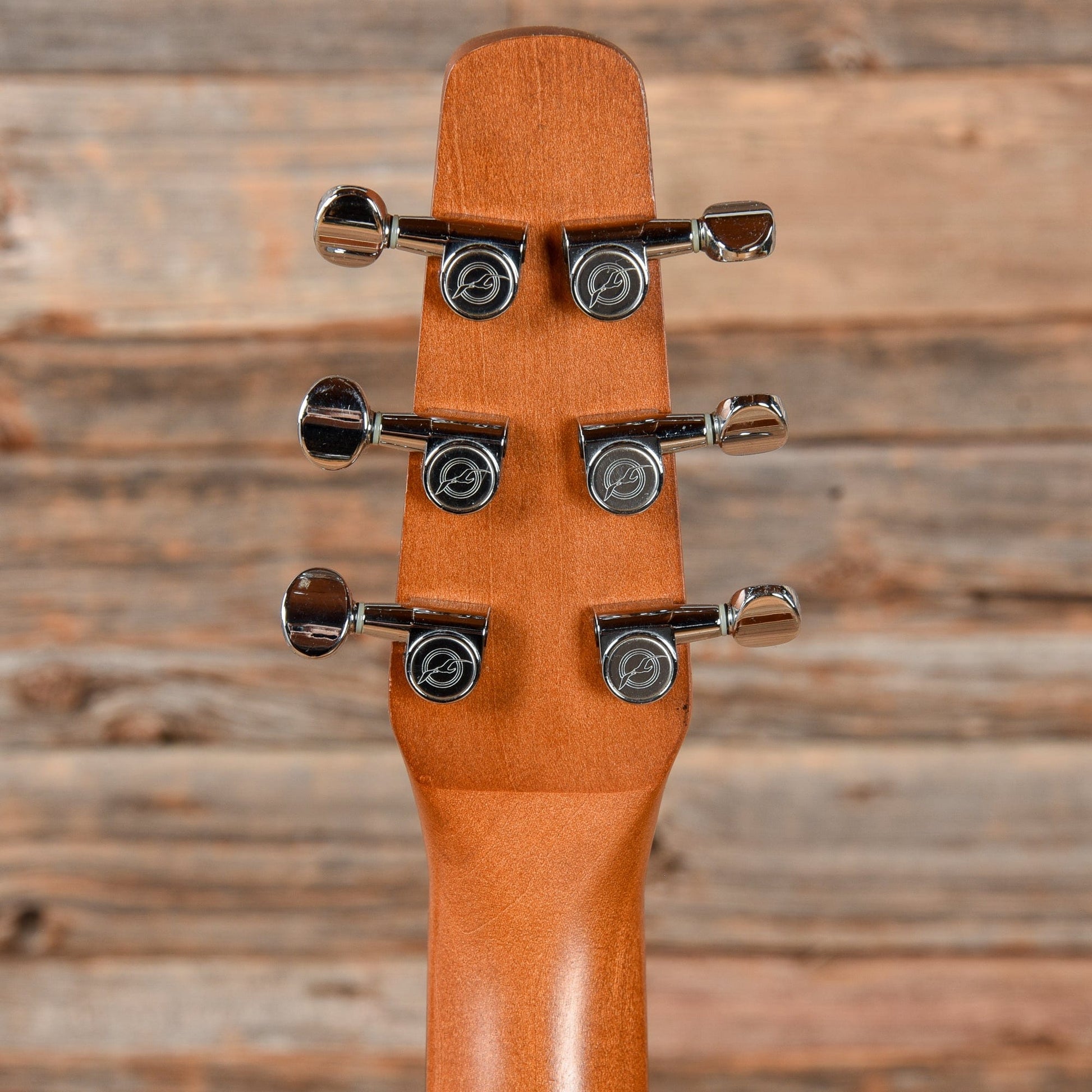 Seagull Entourage Rustic Sunburst Acoustic Guitars / Dreadnought