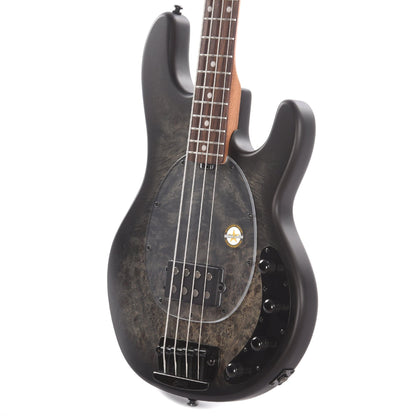 Sterling by Music Man StingRay Burl Top Trans Black Satin Bass Guitars / 4-String