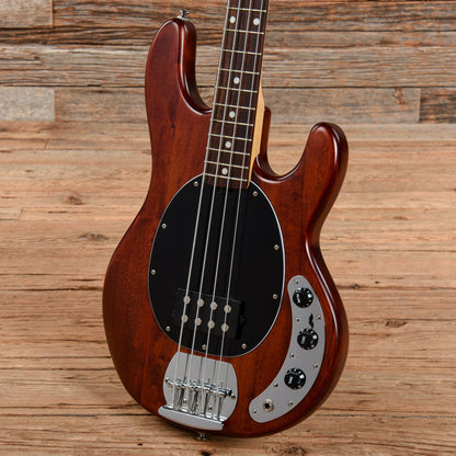 Sterling by Music Man Sub Series Sting Ray Walnut Bass Guitars / 4-String