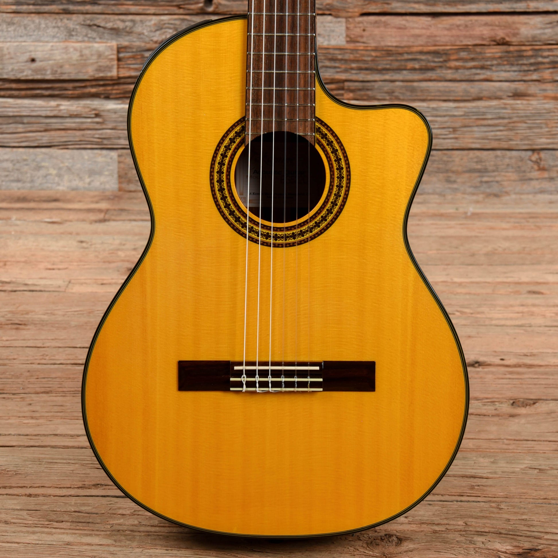 Takamine EG522C Natural Acoustic Guitars / Classical