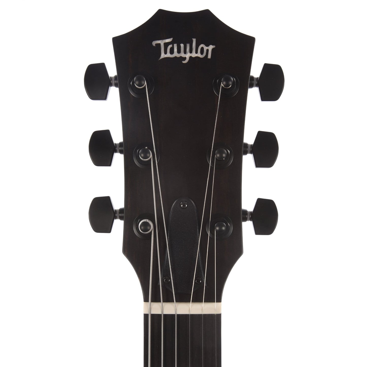 Taylor T5z Classic Koa Top Acoustic Guitars / Built-in Electronics