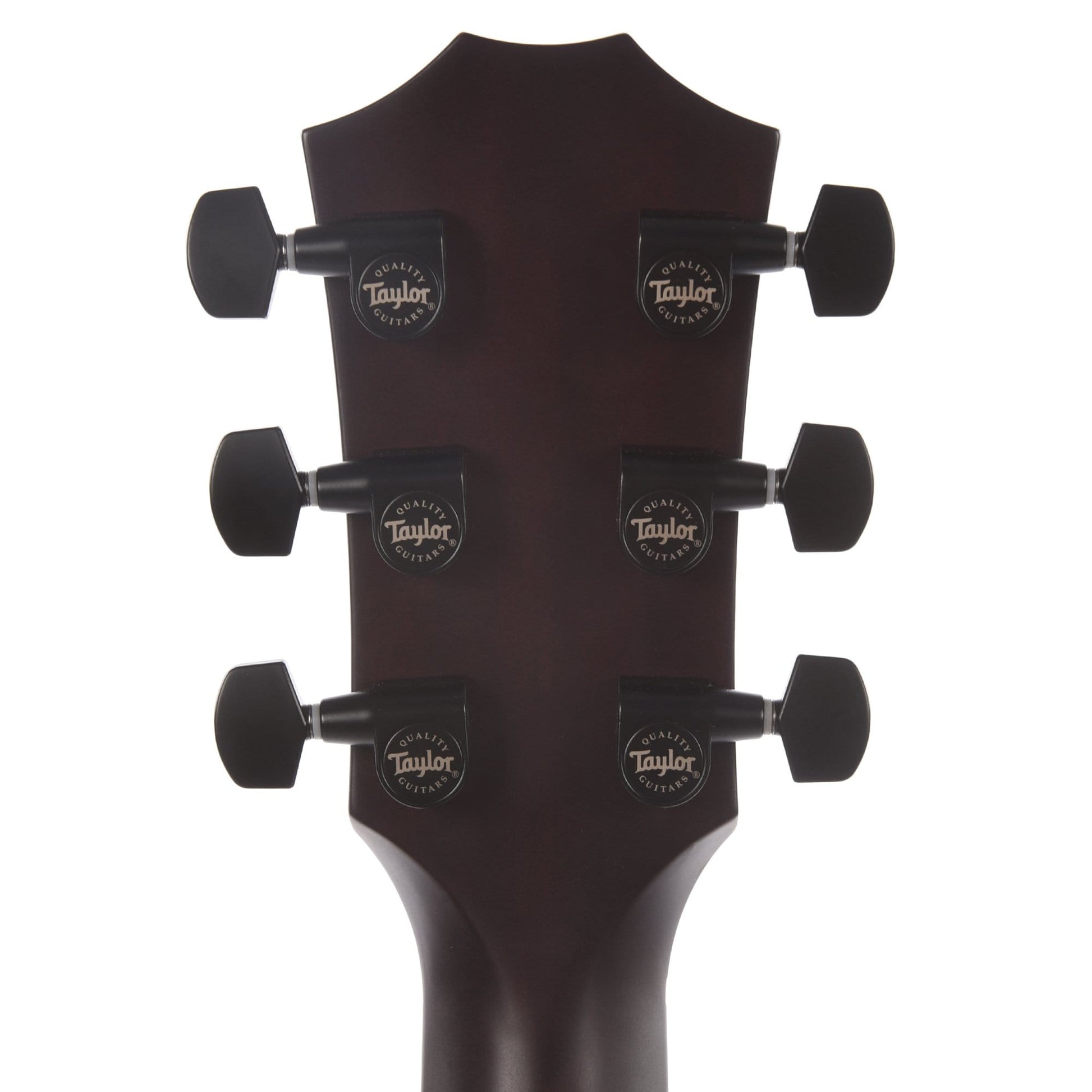 Taylor T5z Classic Koa Top Acoustic Guitars / Built-in Electronics