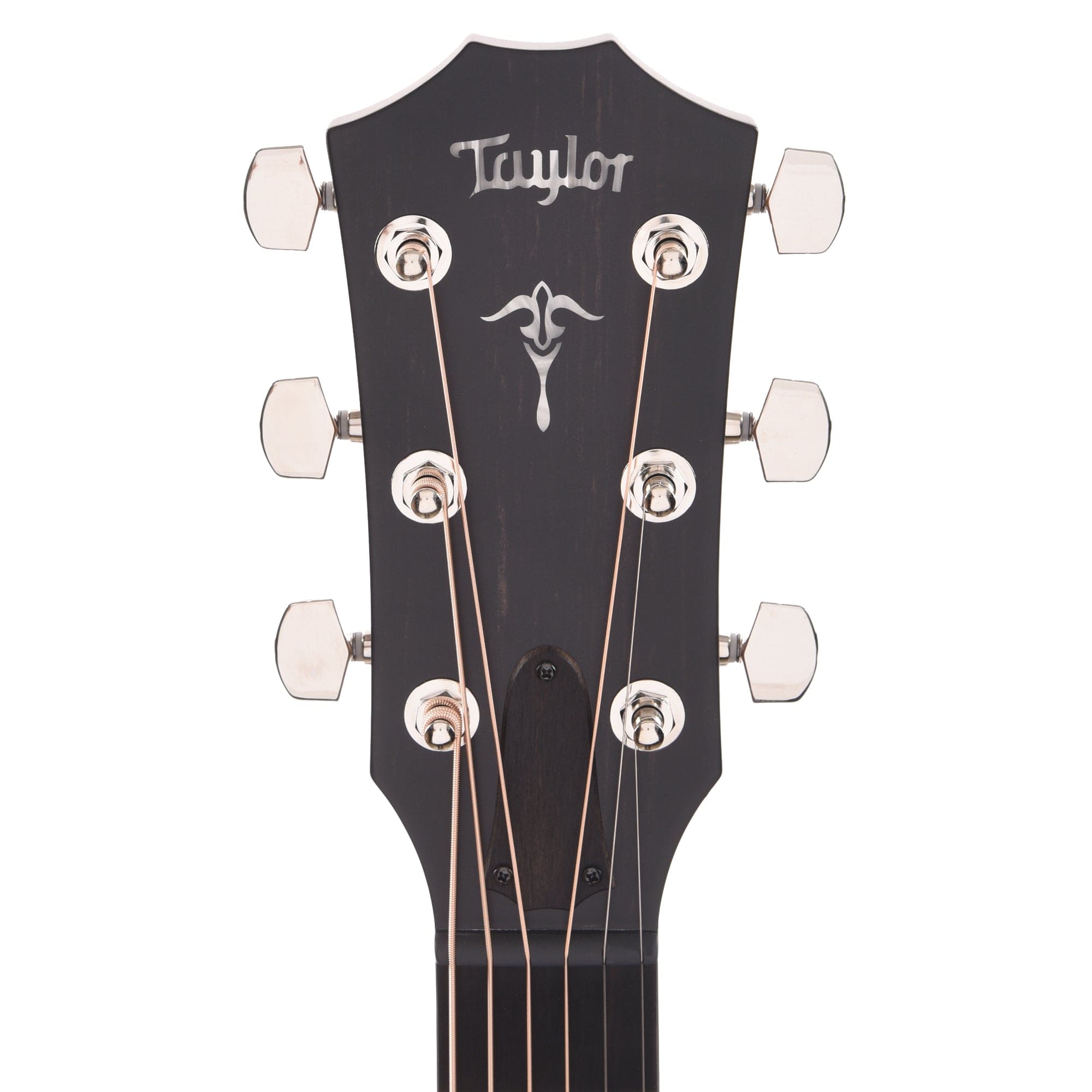 Taylor 512ce Grand Concert Torrefied Sitka/Urban Ironbark Lightly Shaded Edgeburst ES2 Acoustic Guitars / Concert