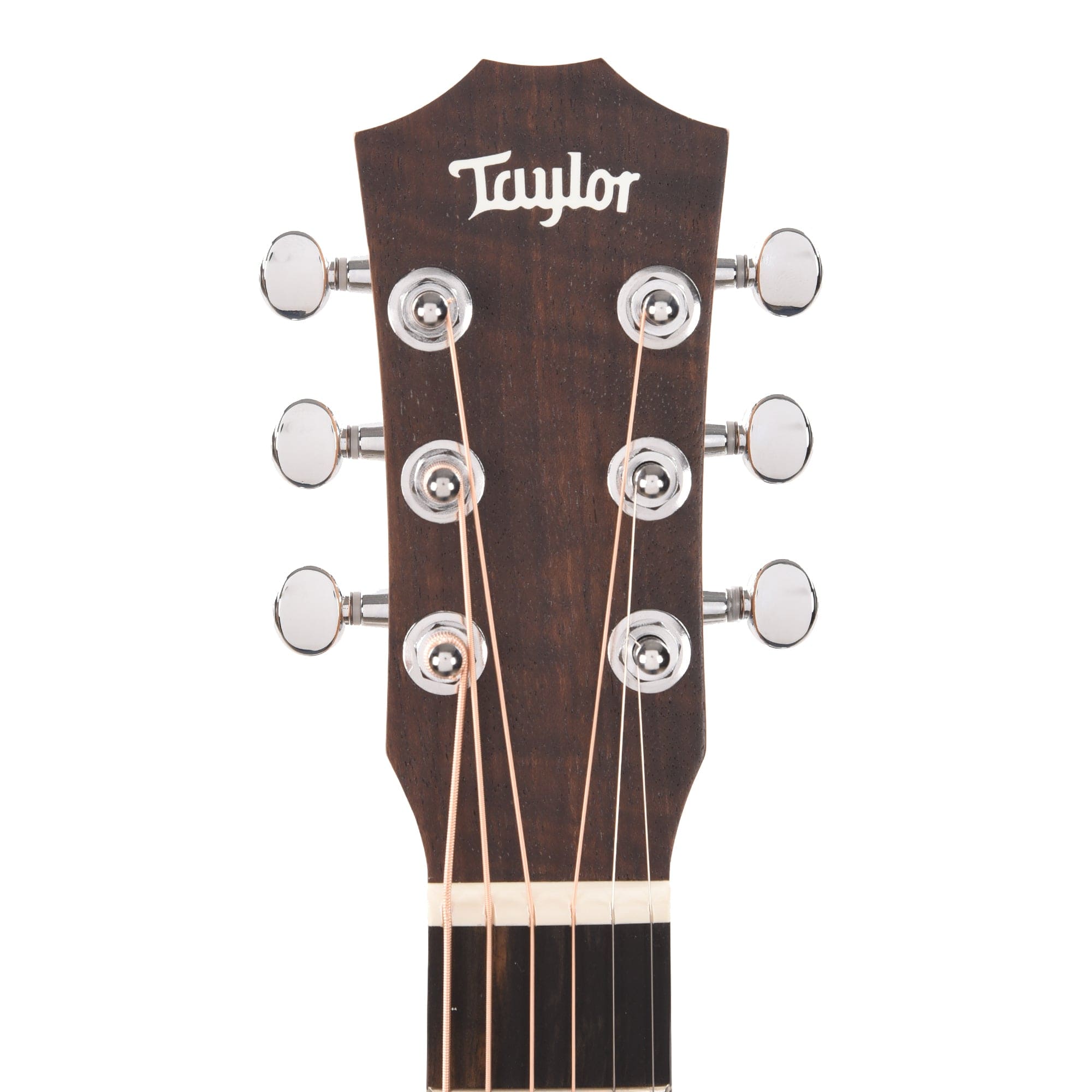 Taylor BT1e Walnut Natural w/ES-B Acoustic Guitars / Mini/Travel