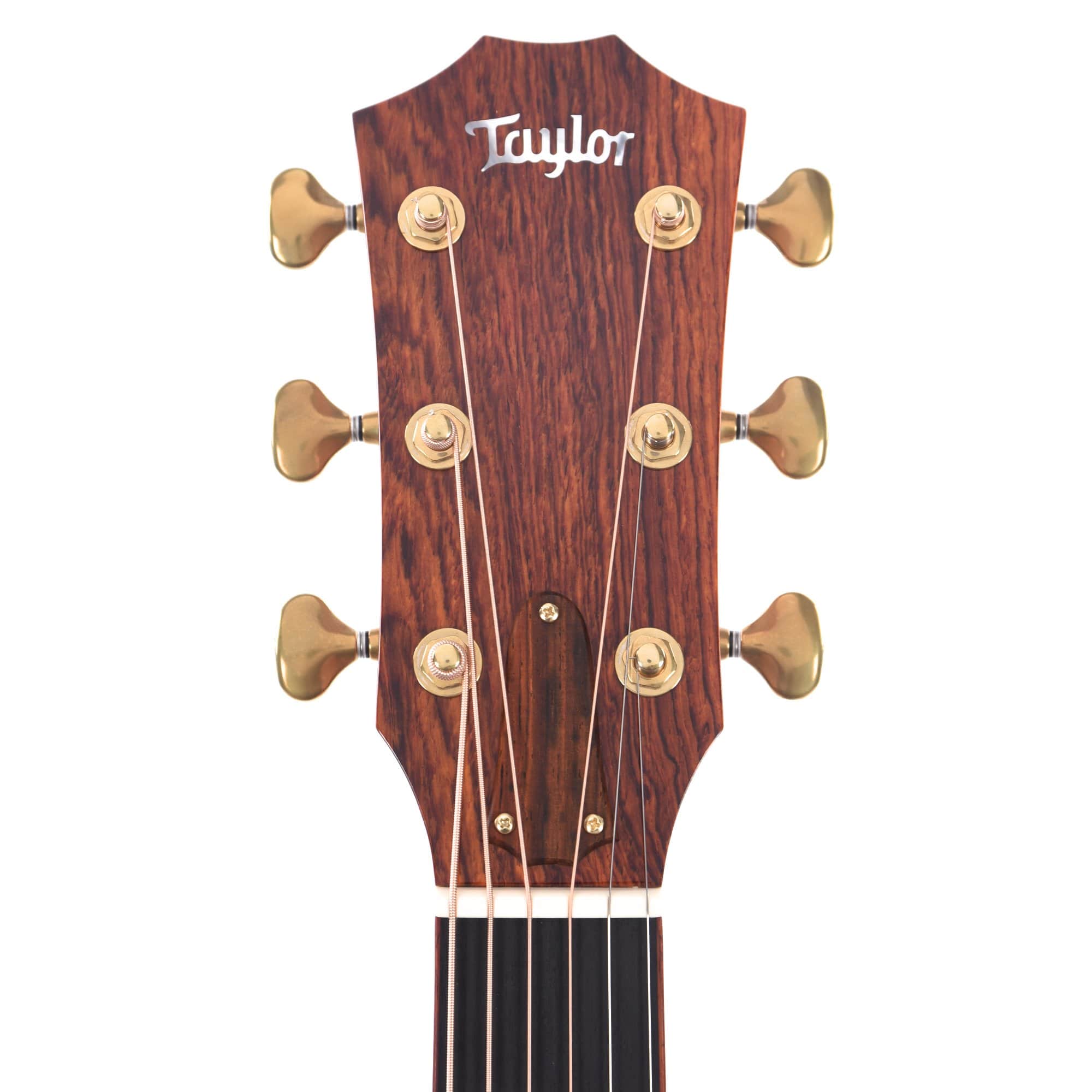 Taylor Custom Grand Symphony Adirondack/Cocobolo ES2 w/Florentine Cutaway Acoustic Guitars / OM and Auditorium