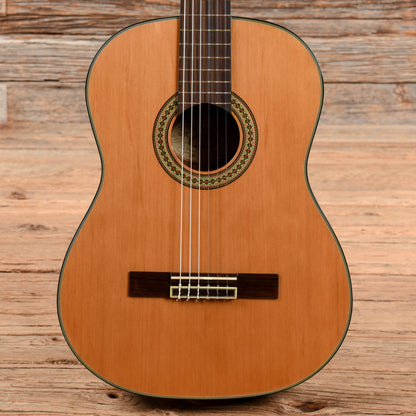 Washburn C80S Natural Acoustic Guitars / Concert