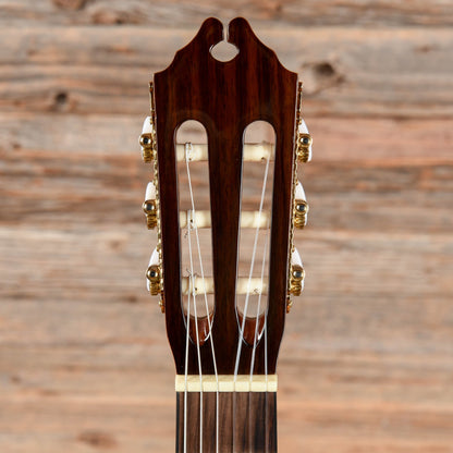 Washburn C80S Natural Acoustic Guitars / Concert