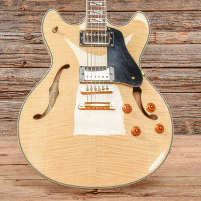 Washburn HB35 Natural Electric Guitars / Semi-Hollow